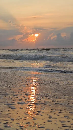 Golden Sands Beach Front Resorts & Properties Andhra Pradesh Gallery
